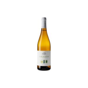 VINO SOPLAGAITAS 2023